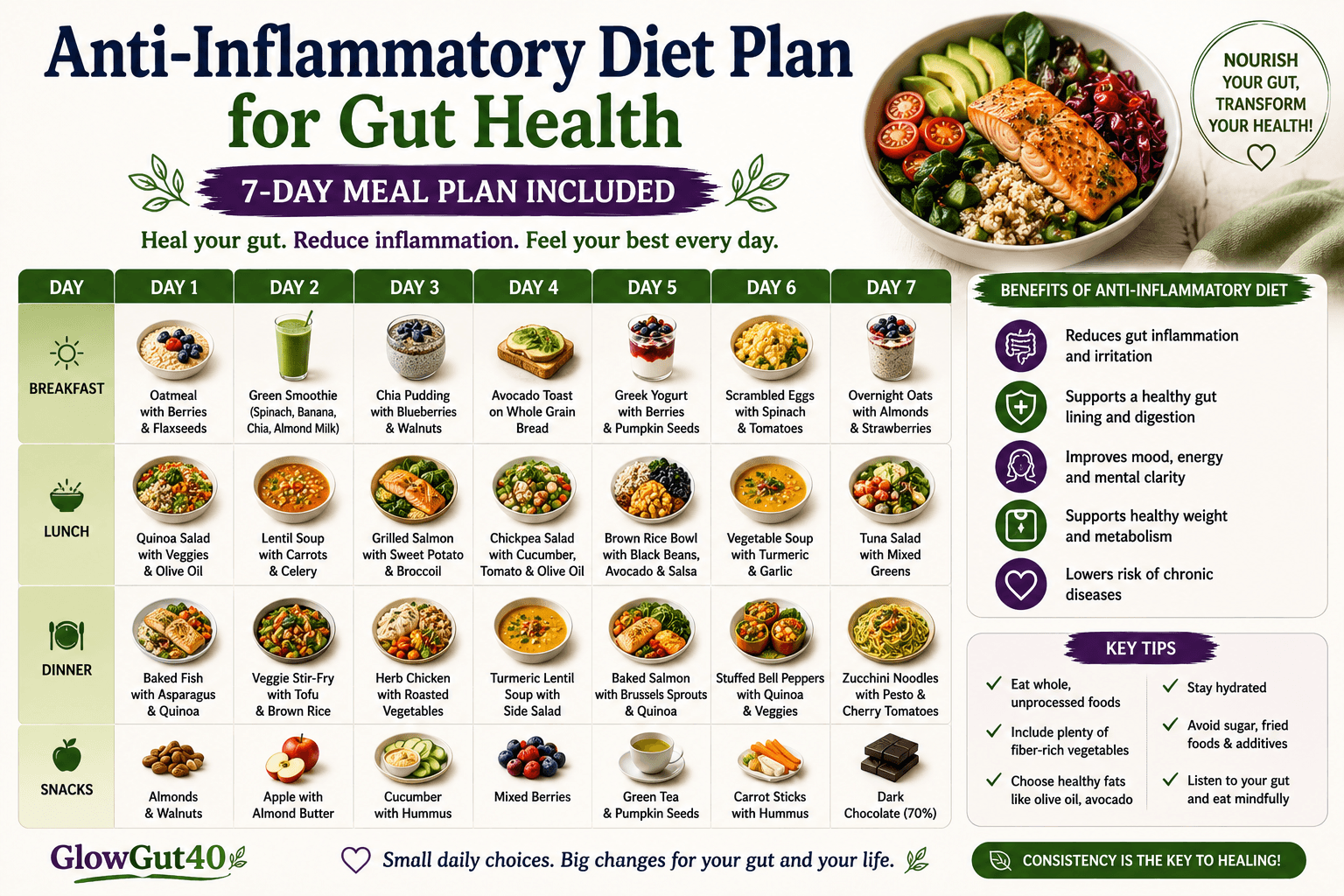 Anti-Inflammatory Diet Plan for Gut Health